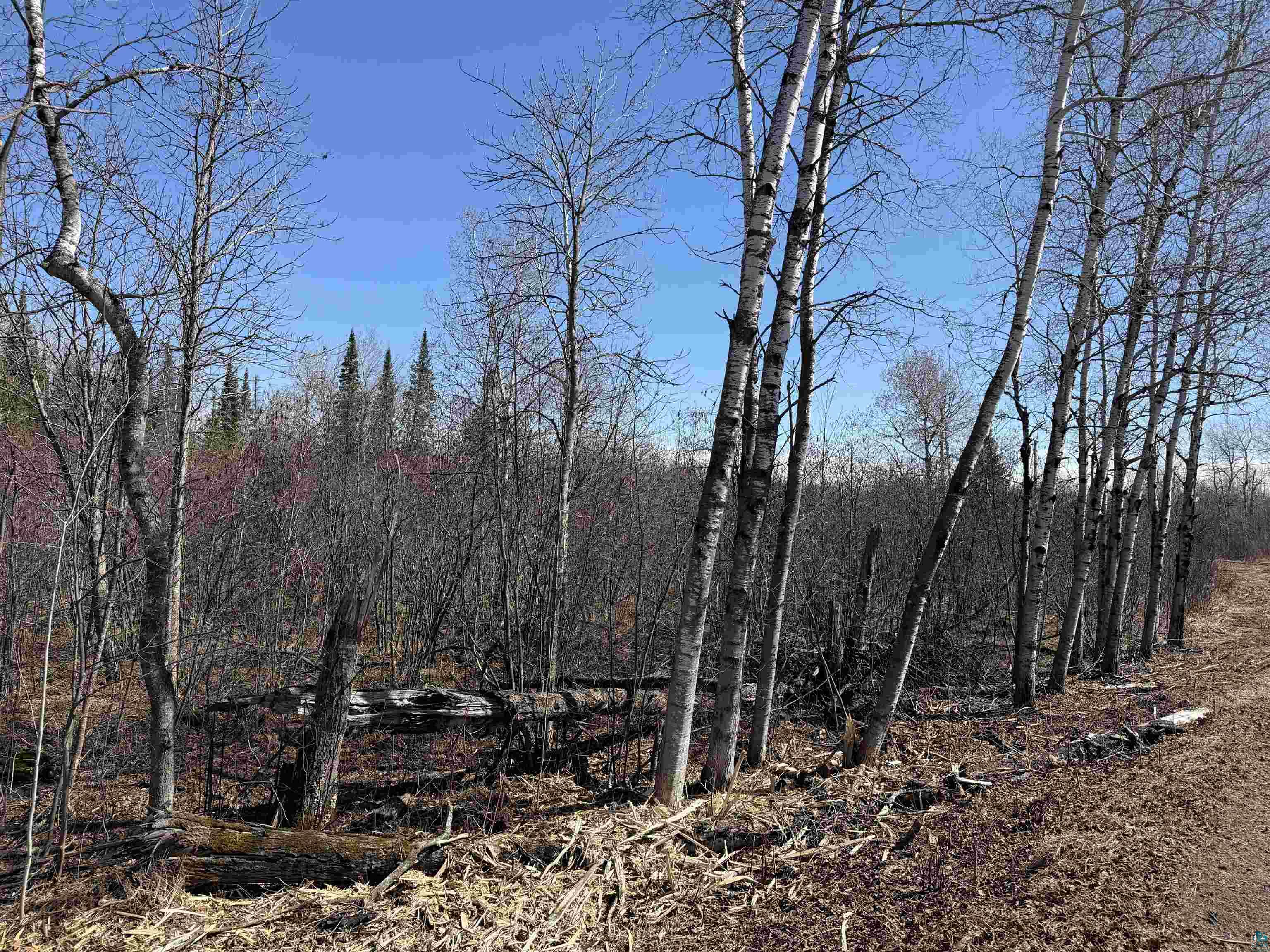 51xx Samuelson Rd - EasyLiving Realty